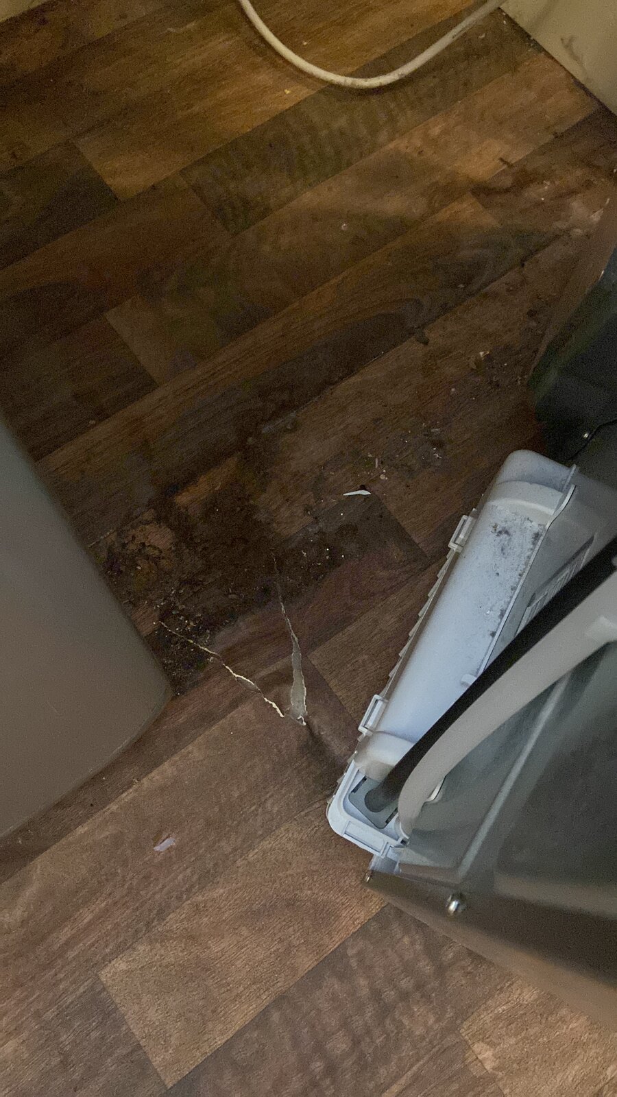 Lino rip DIYnot Forums