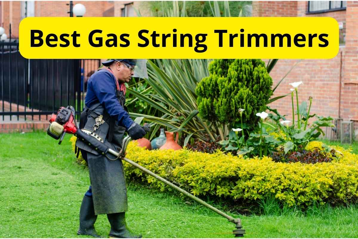 7 Best Gas String Trimmers of 2024 [Reviews] Lawnstarter