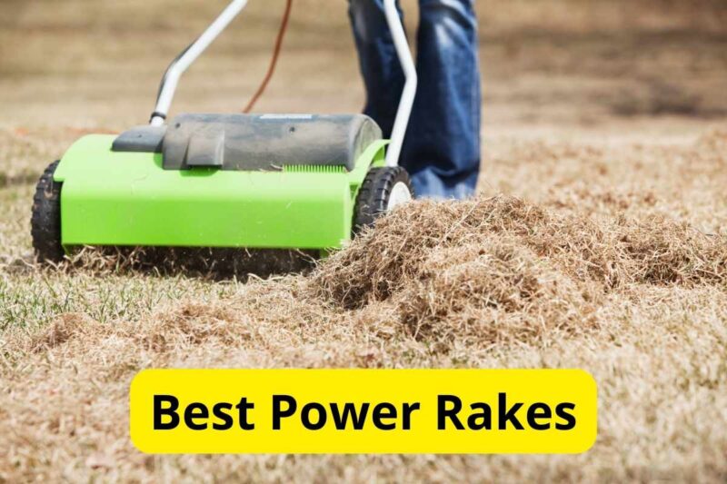 8 Best Power Rakes of 2024 [Reviews] Lawnstarter
