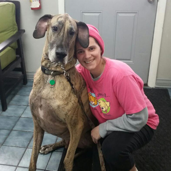 About A1 Bed and Biscuit