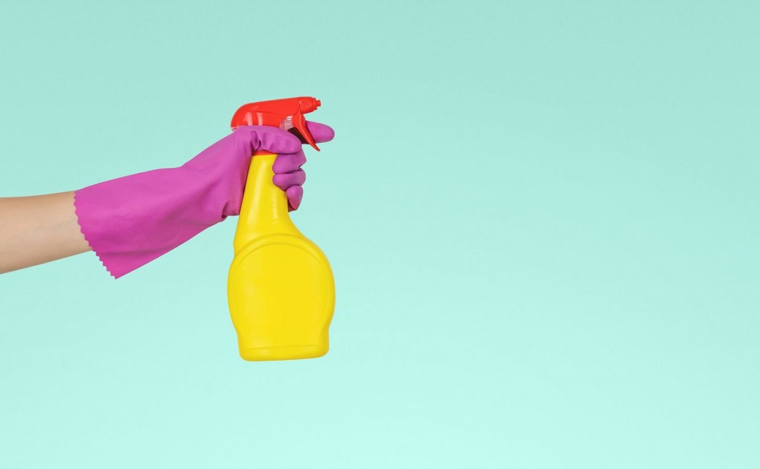 Best Toy Cleaner Baby Bargains