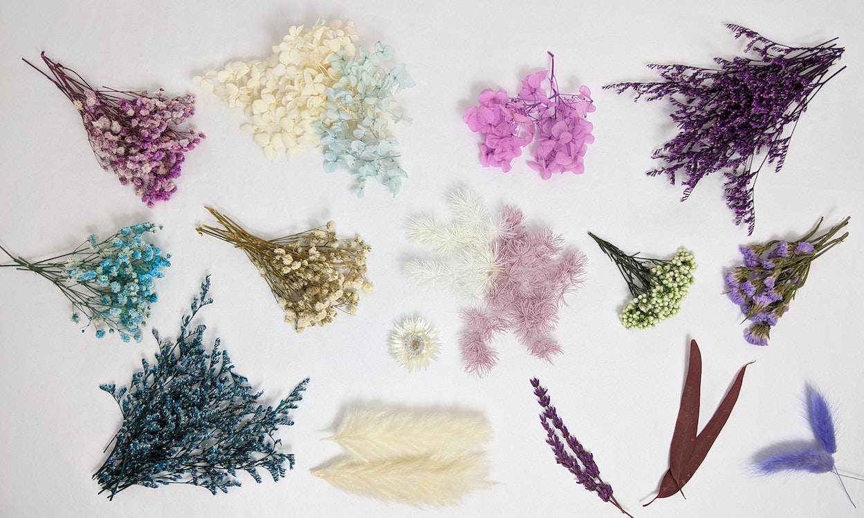Best Dried Flowers Baby Bargains
