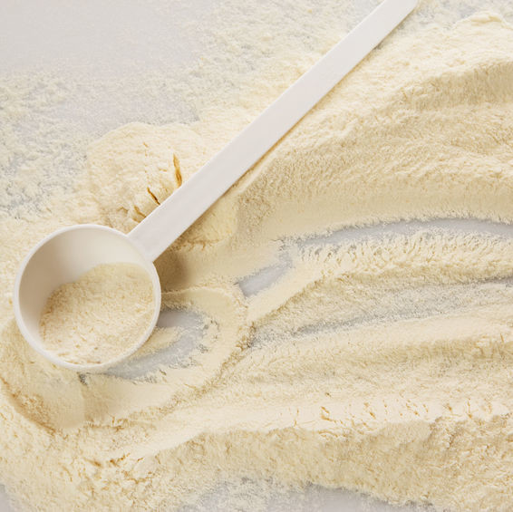 Whole Egg Powder Baking Ingredients BAKERpedia
