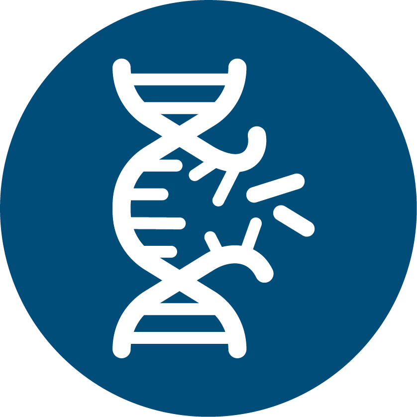Blue Heron Biotech, LLC Gene Synthesis Custom DNA