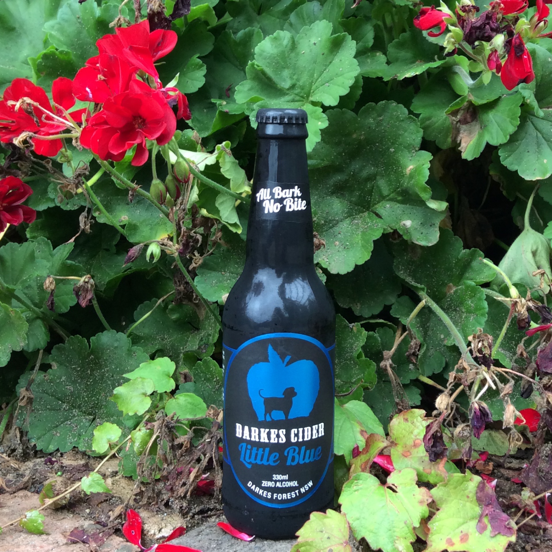 Darkes Cider Little Blue Broger's End