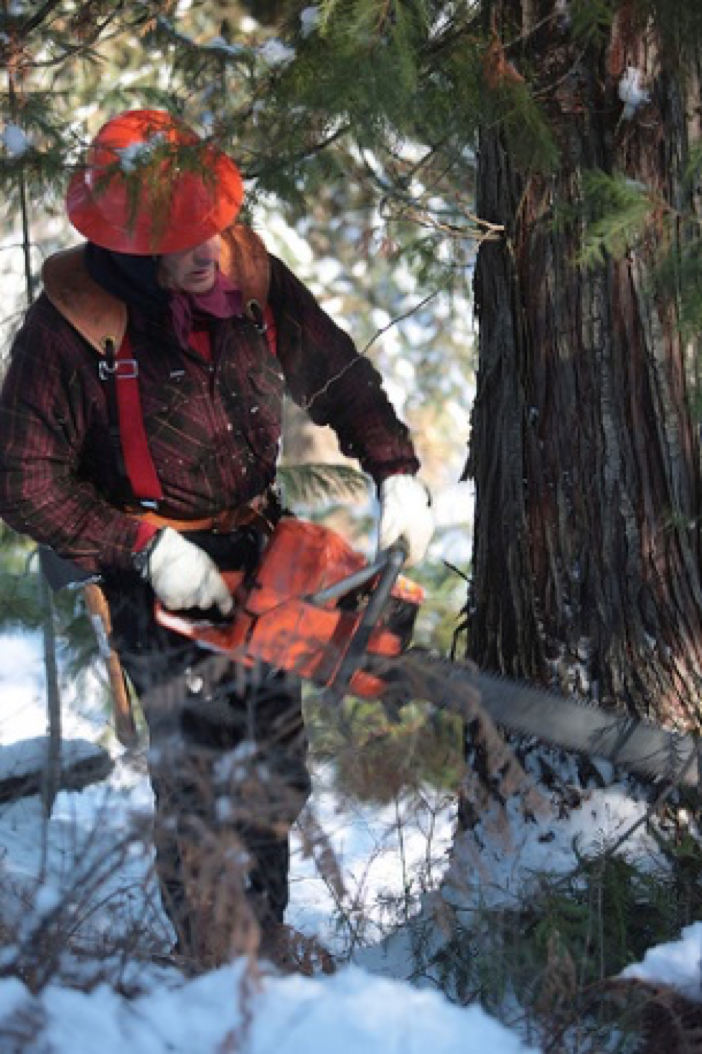 Staggering Losses, Feeling Rejected D. Gary Young