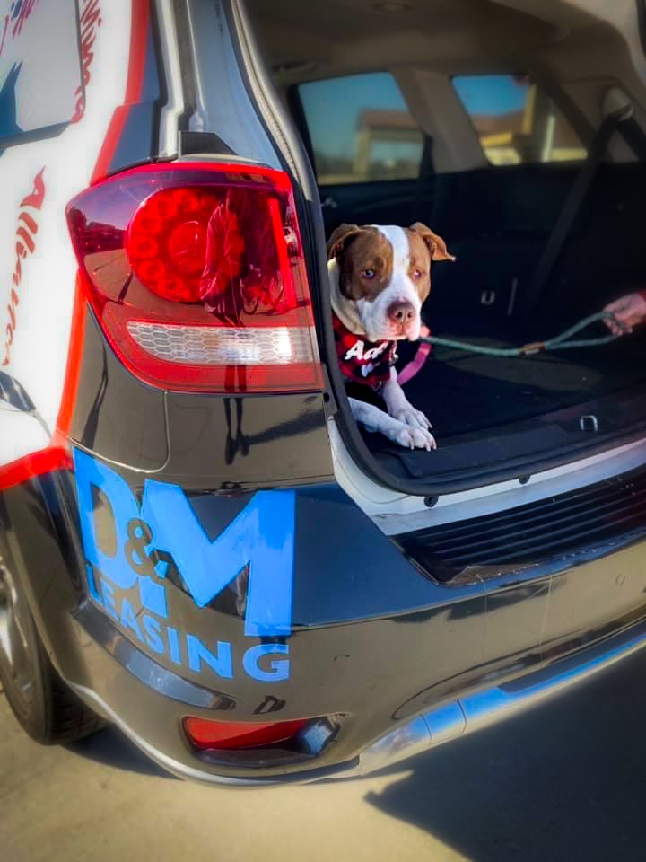 Community Relations D&M Auto Leasing