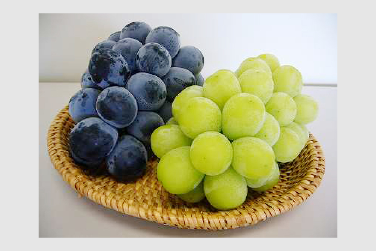 長野県は、フルーツ王国 そのおいしさの秘密と楽しみかた 農産物 食 トリップアイデア Go NAGANO 長野県公式観光サイト