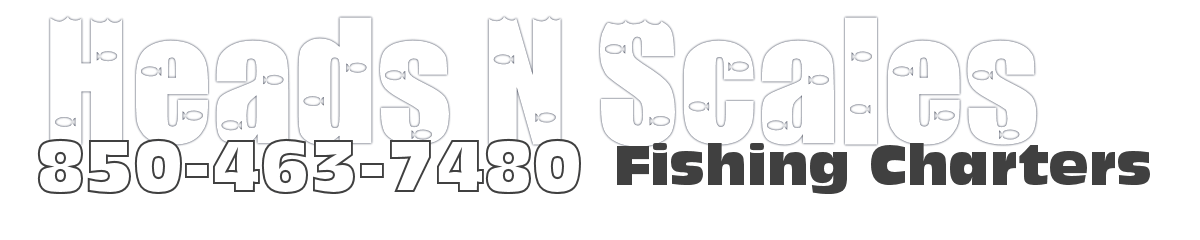 Heads n scales fishing charters