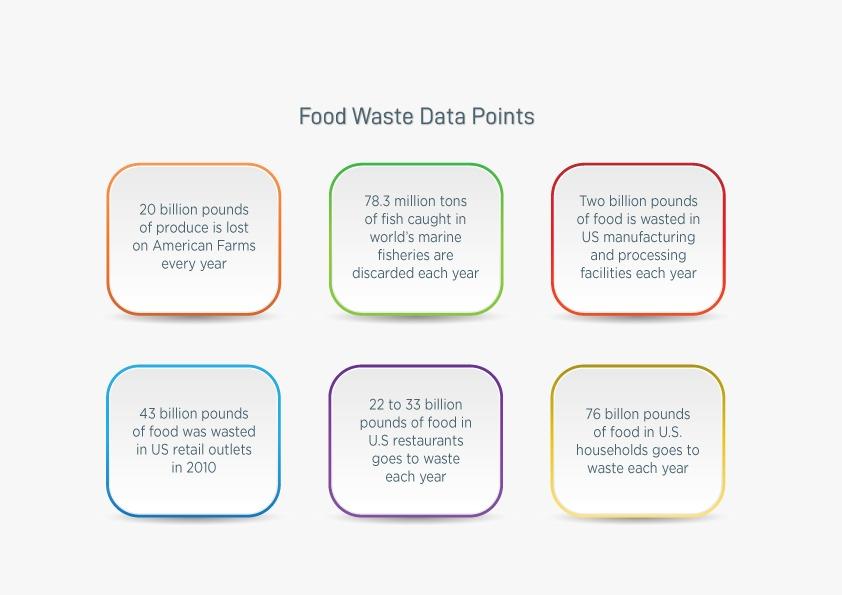 The Food Crisis Resolving the problem of food waste and food loss IRGA