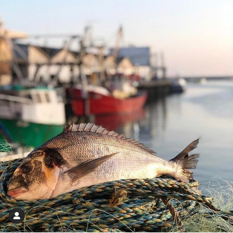 Fish Friday where to stock up on local Devon Muddy Stilettos