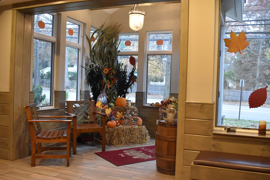 Resources My Pet's Vet