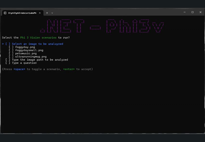 Using Phi3 & C with ONNX for text and vision samples Blog