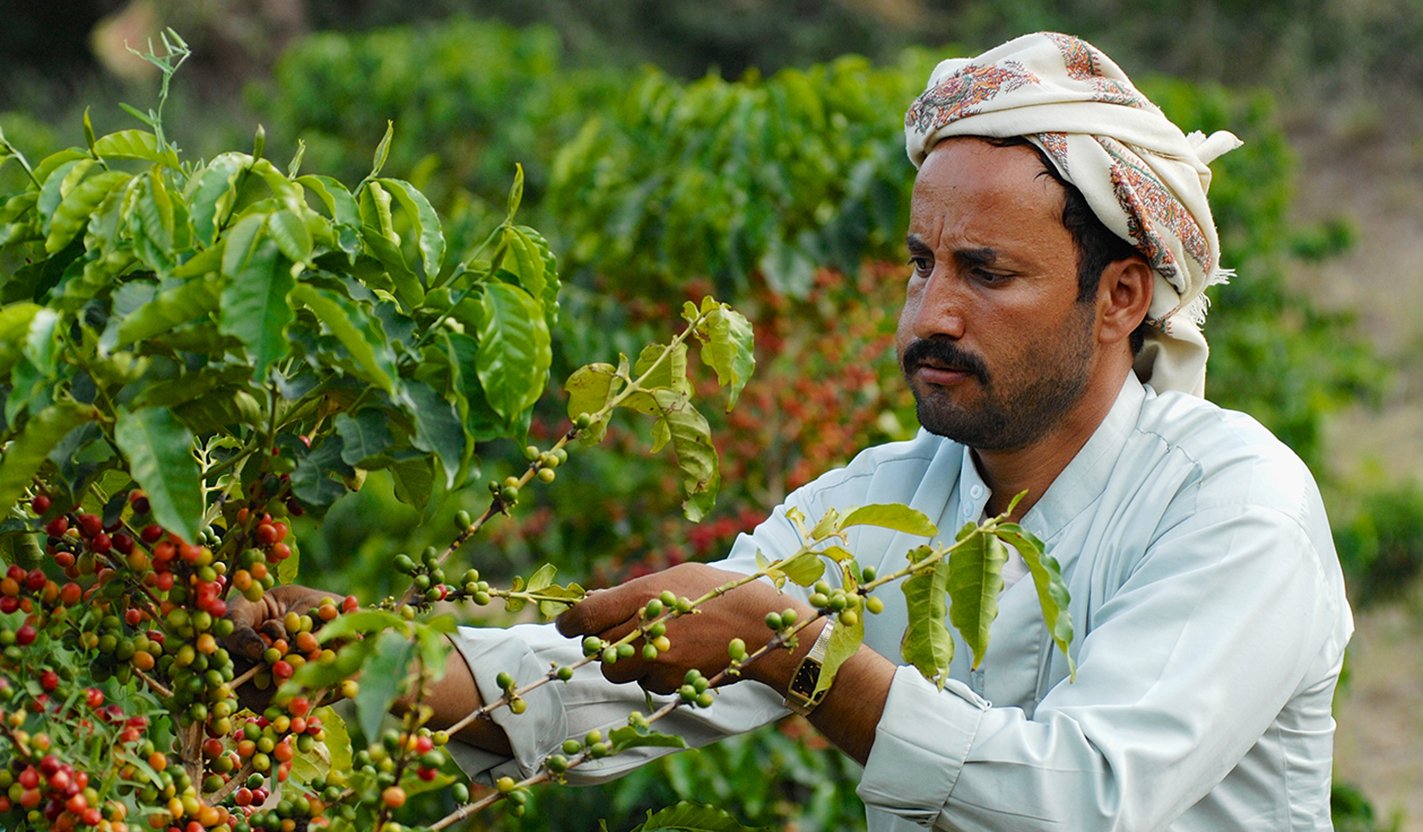 Microfinance in Yemen An Overview of Challenges and Opportunities