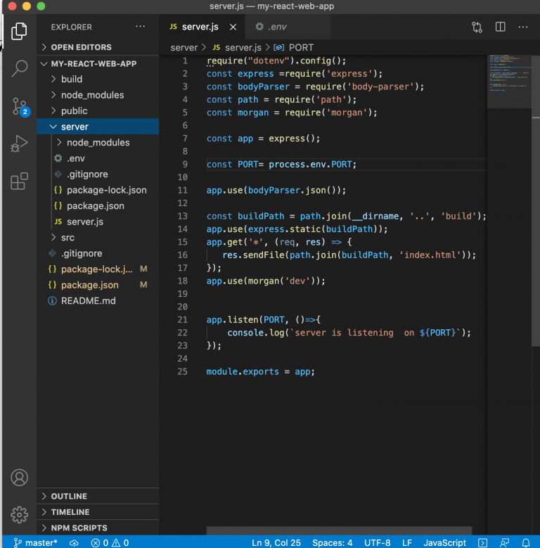 How to create React  App with a Node.js API Backend devdotcode