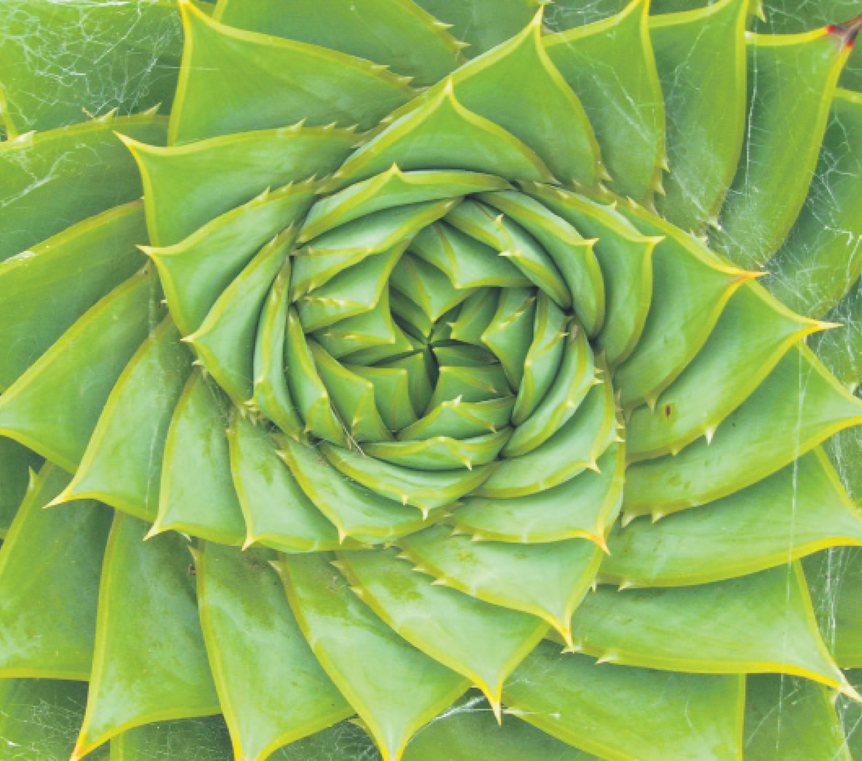 Symmetries The Beauty in Physics