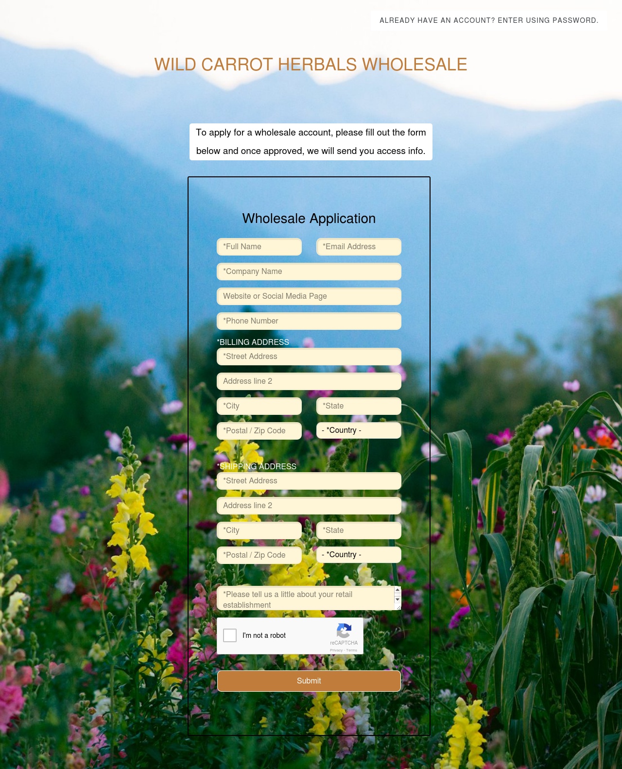 Wild Carrot Herbals Wholesale Develop Easy