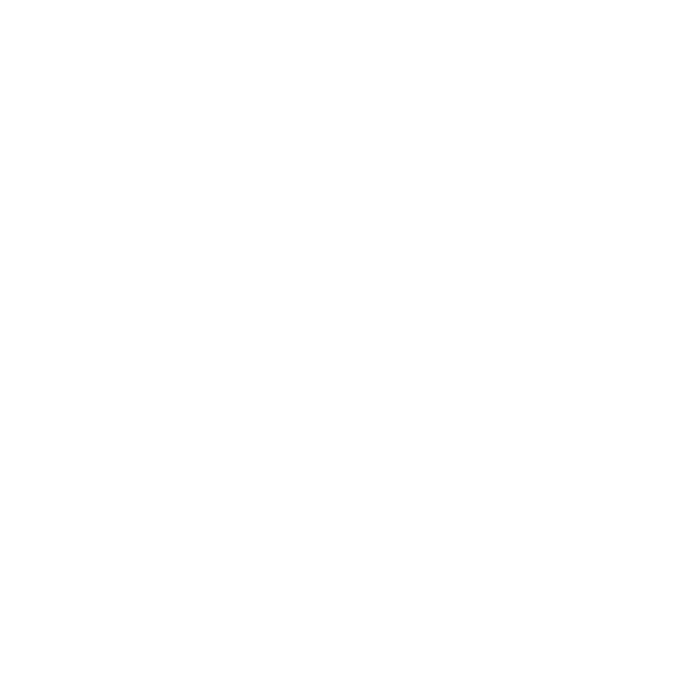 Nvidia Developer
