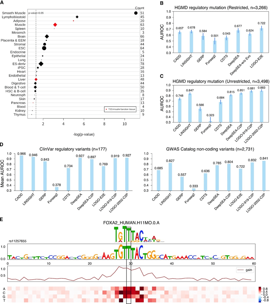 Nucleic Acids Res.｜华大智造联合复旦大学发布人类基因组轻量级语言模型，整合卷积层以碱基分辨率解释非编码区腾讯云开发者社区腾讯云
