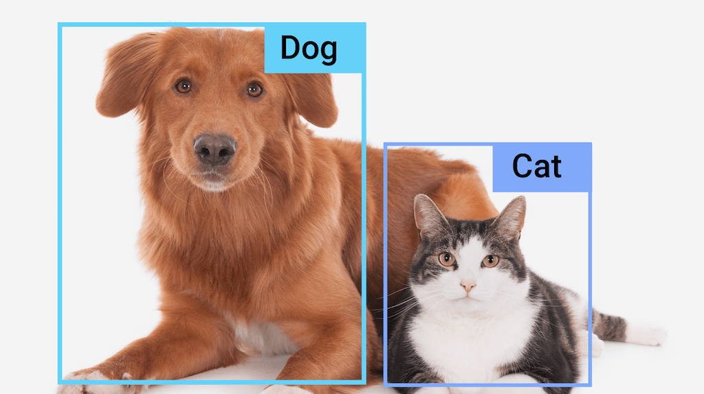 Object detection task guide MediaPipe Google for Developers