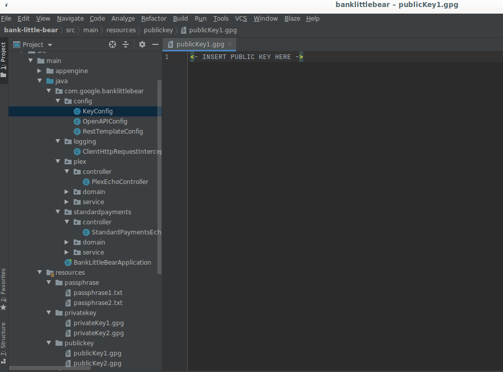 How to establish connectivity with Google APIs in Java Google for