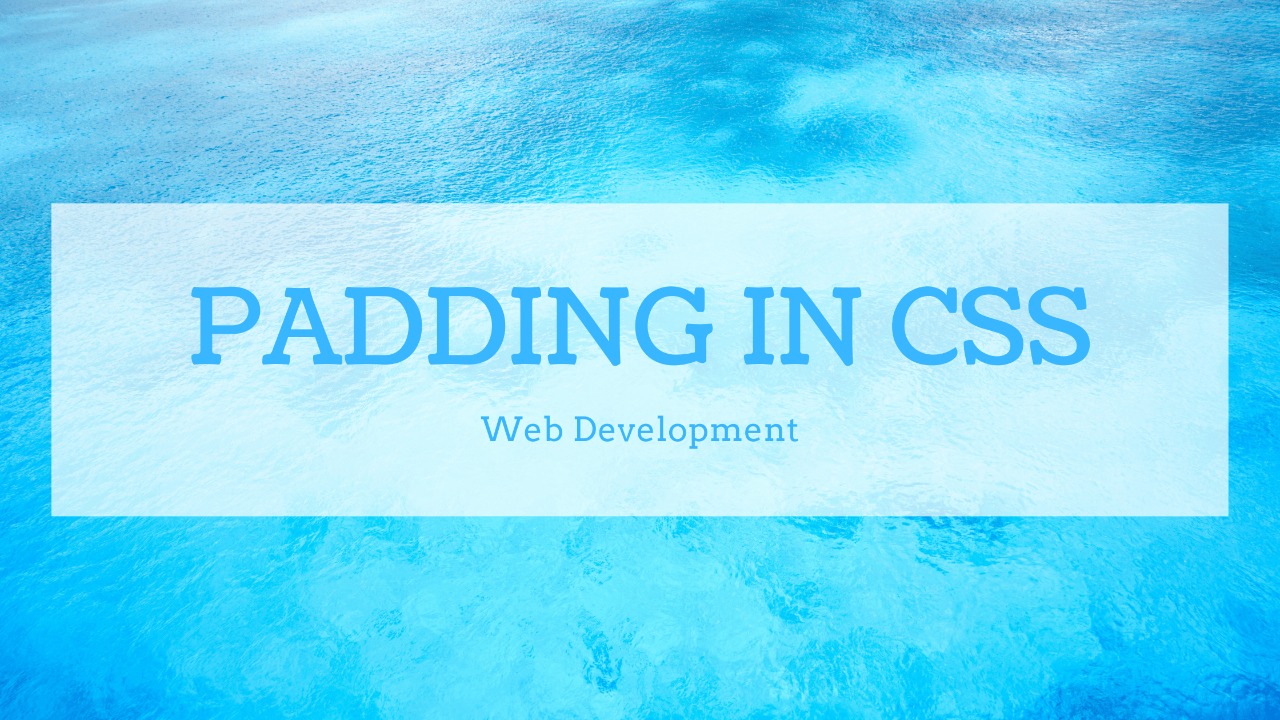 What Does PaddingBottom Mean In Css at Patricia Villegas blog