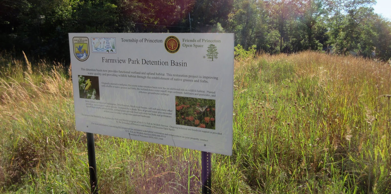 NJ Developers Green Insfrastructure Guide Extended Detention Basin