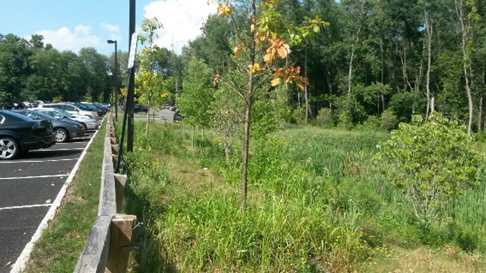 NJ Developers Green Insfrastructure Guide Shallow Seasonal High Water Table