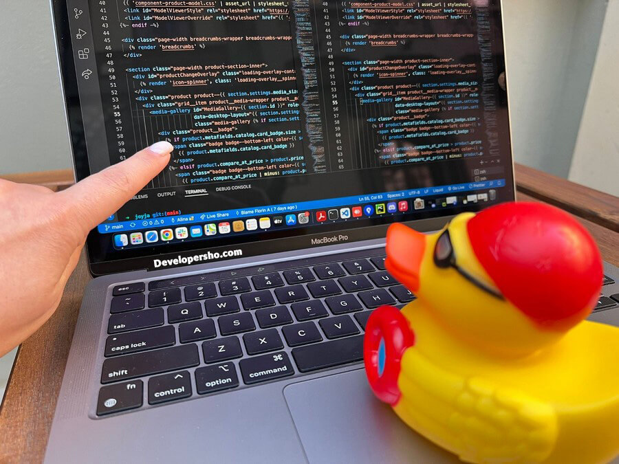 Rubber Duck Debugging چیست؟ دیباگ کردن به روش اردک لاستیکی