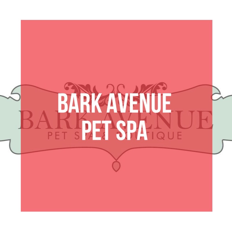 Bark Avenue Pet Spa And Boutique Developing Lafayette
