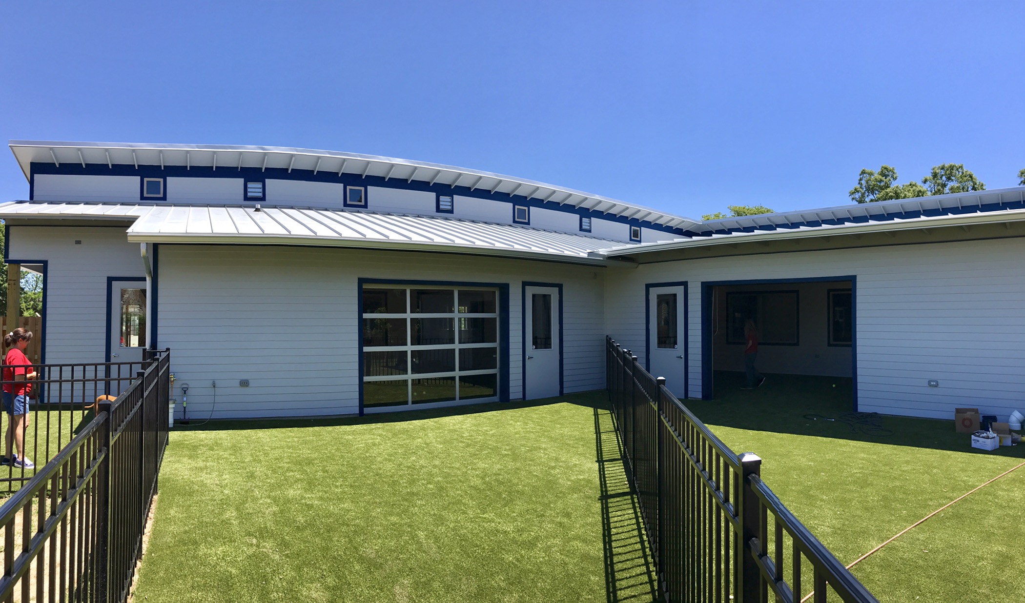 New Doggie Daycare, Paws & Paw Paws is Now Open Developing Lafayette