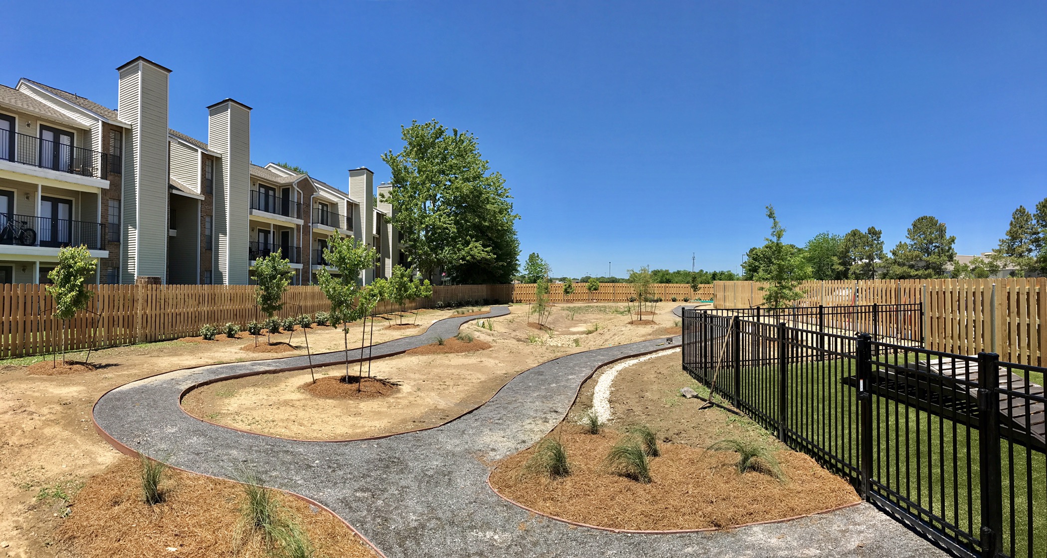 New Doggie Daycare, Paws & Paw Paws is Now Open Developing Lafayette