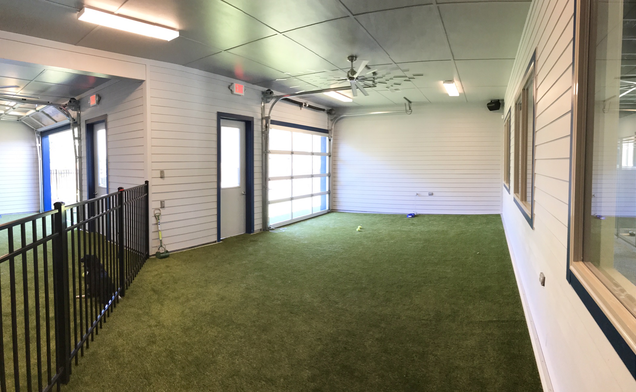 New Doggie Daycare, Paws & Paw Paws is Now Open Developing Lafayette