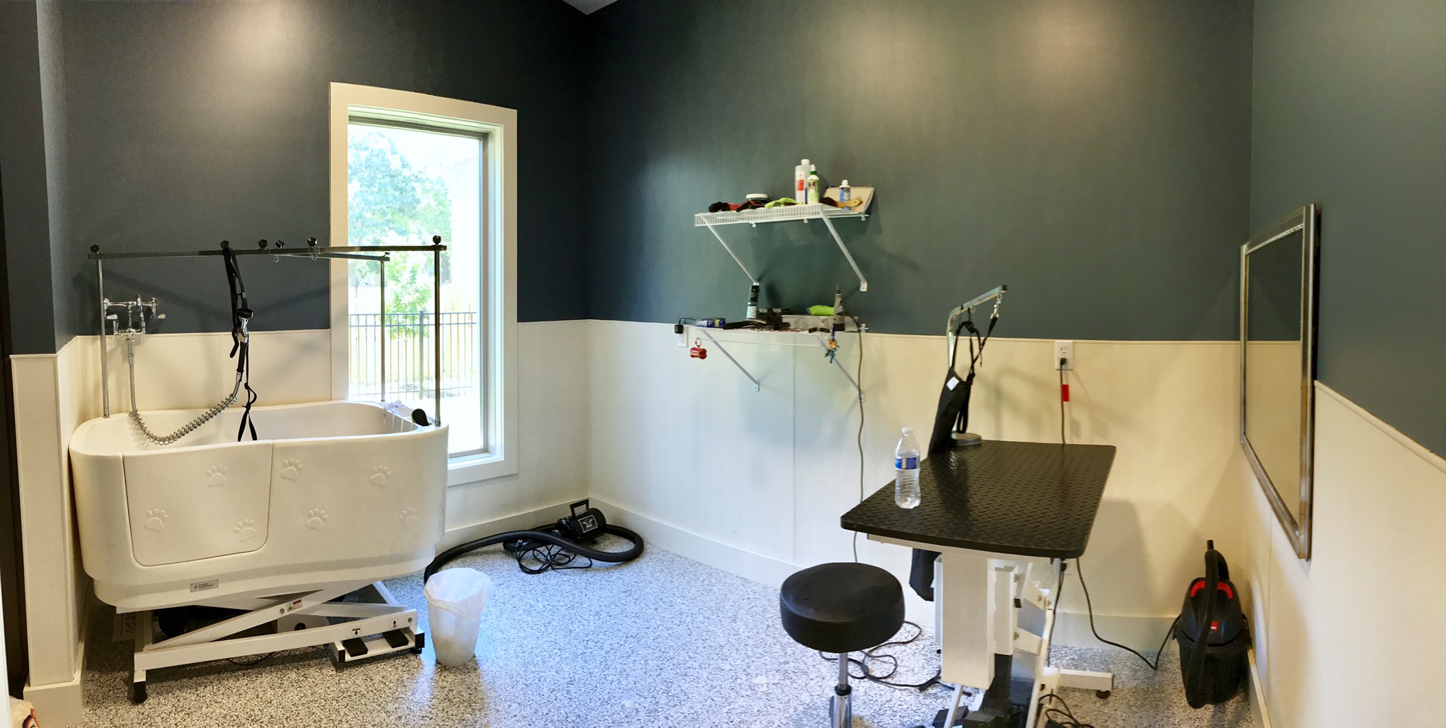 New Doggie Daycare, Paws & Paw Paws is Now Open Developing Lafayette