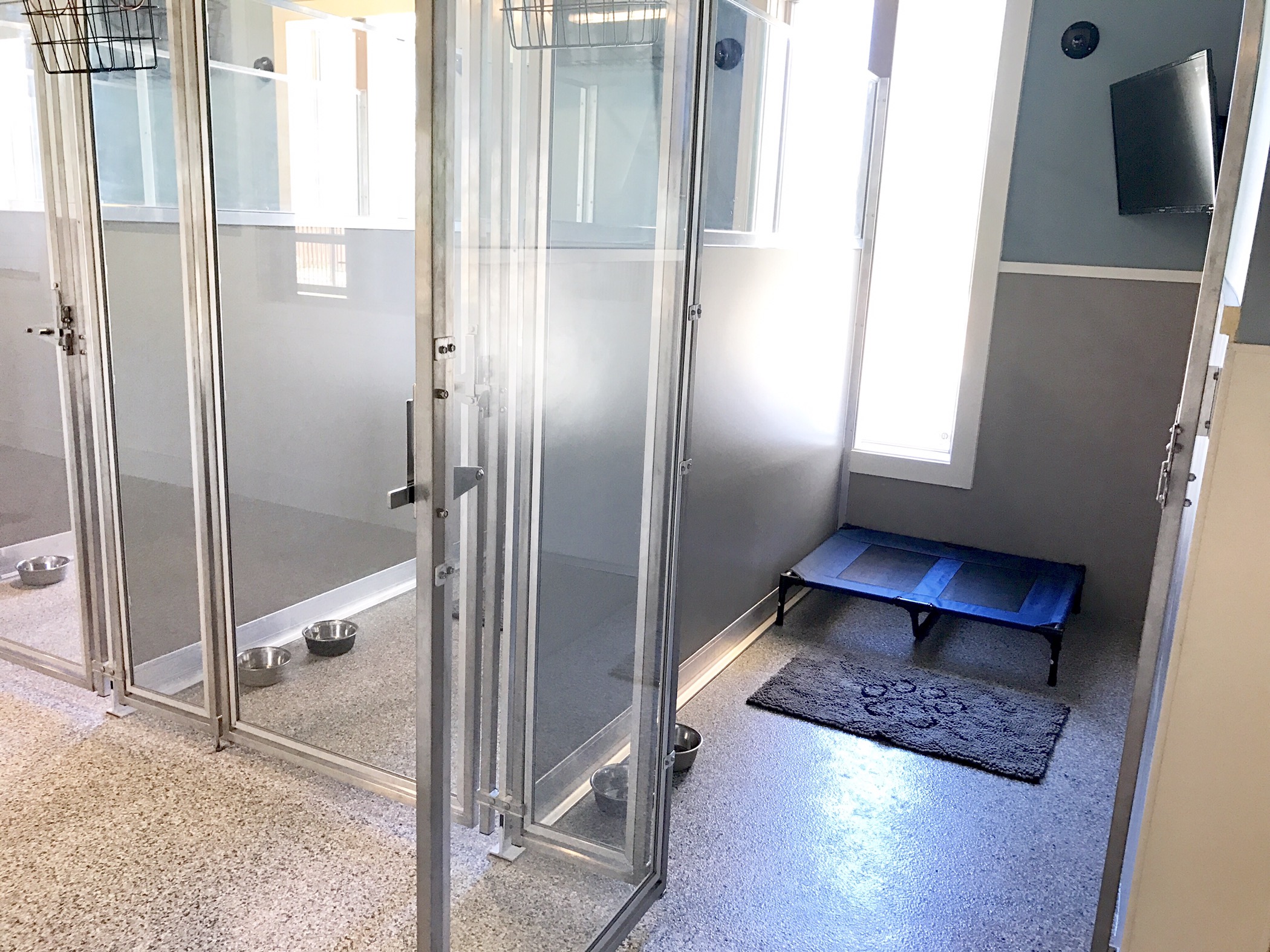 New Doggie Daycare, Paws & Paw Paws is Now Open Developing Lafayette