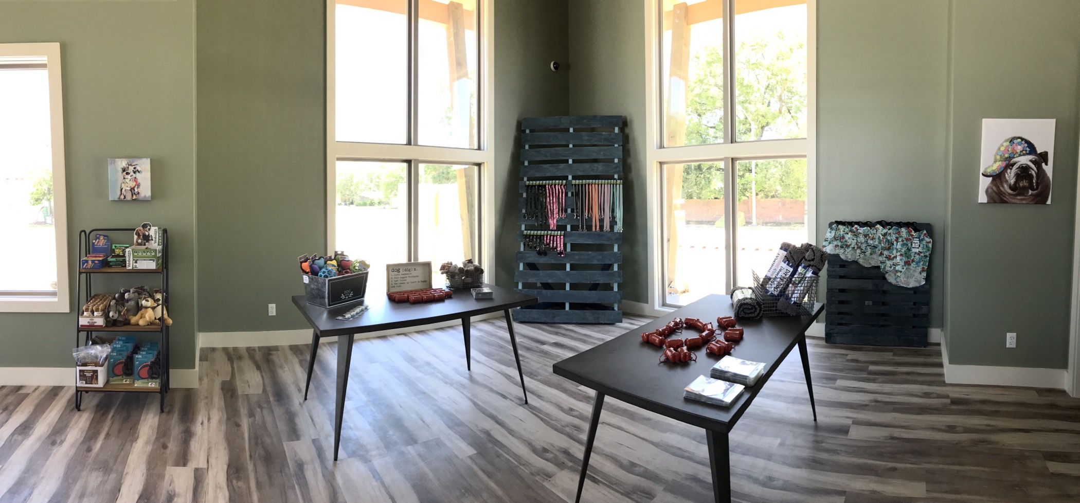 New Doggie Daycare, Paws & Paw Paws is Now Open Developing Lafayette