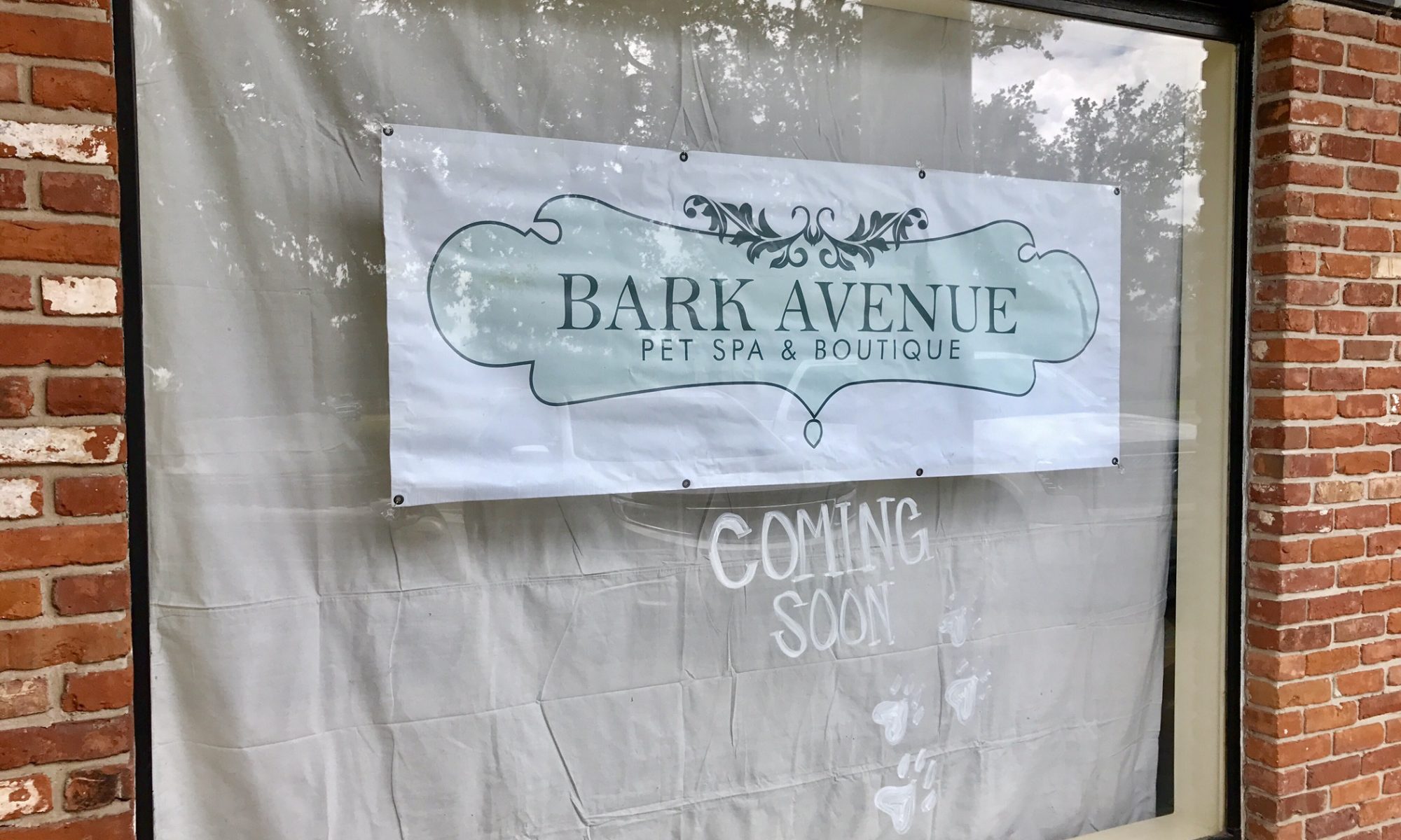 Bark Avenue Pet Spa Is Moving To A Larger Location Developing Lafayette