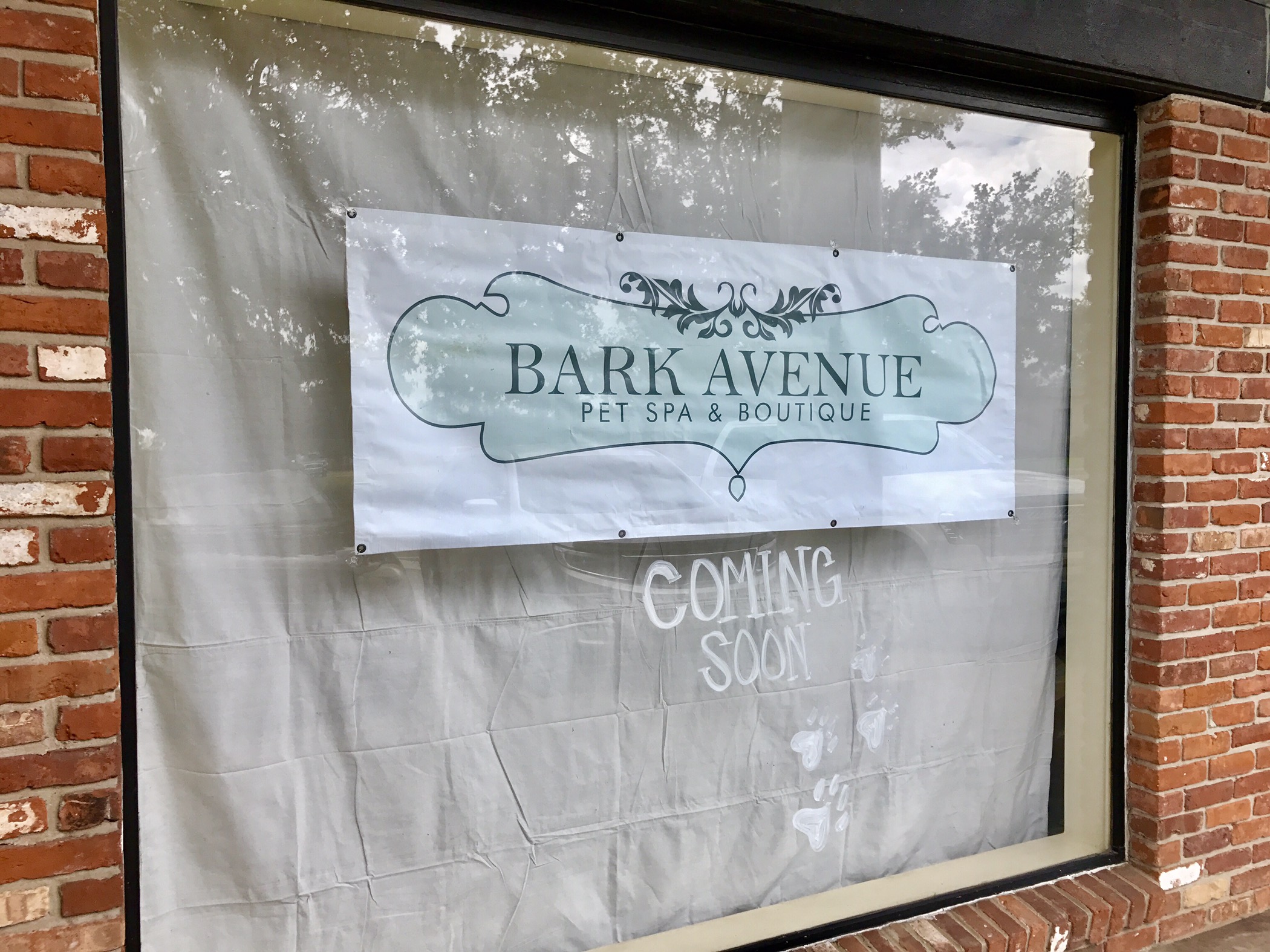 Bark Avenue Pet Spa Is Moving To A Larger Location Developing Lafayette