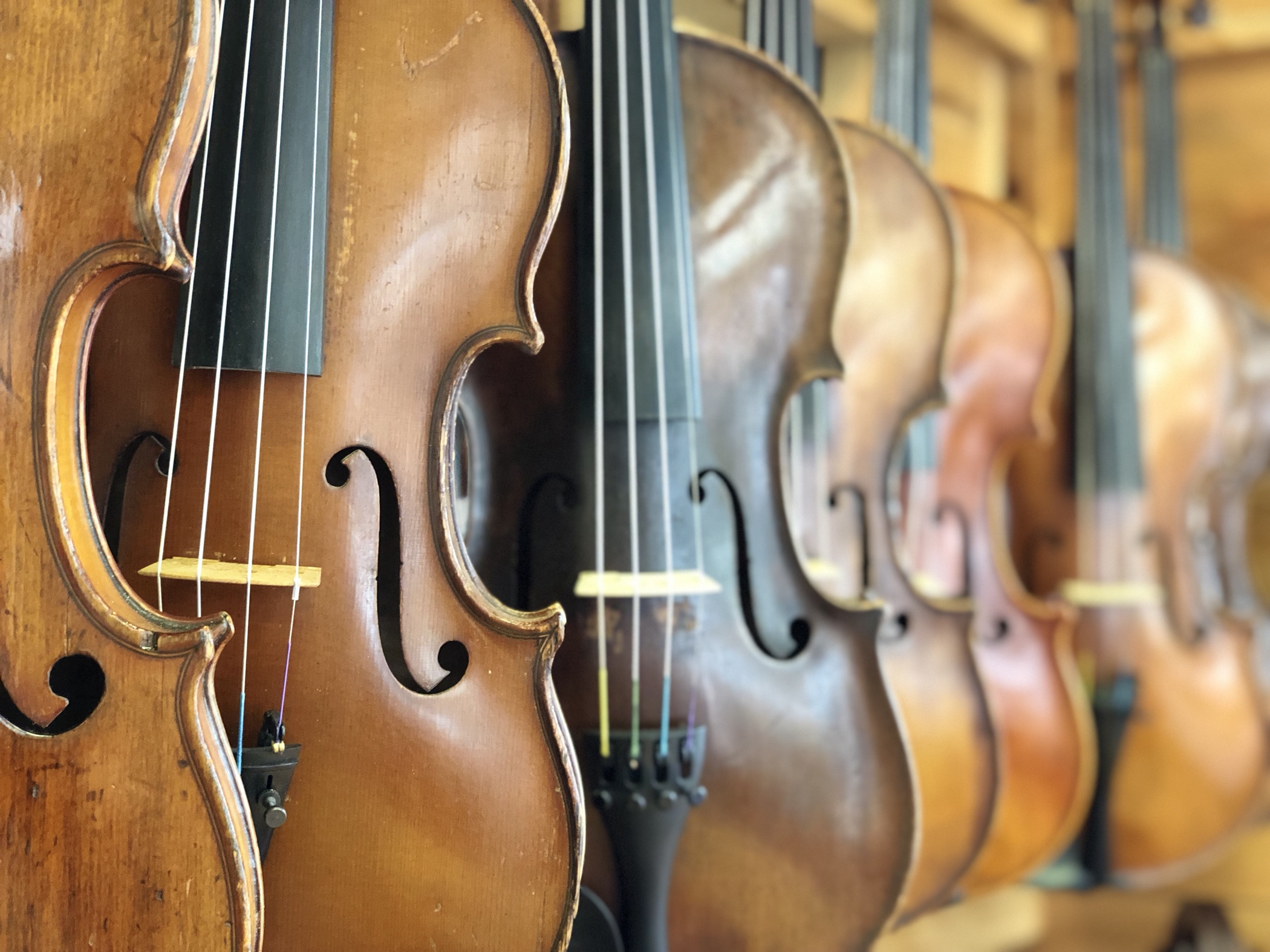 Anya Burgess of SOLA Violins Cox Business Entrepreneur Profile