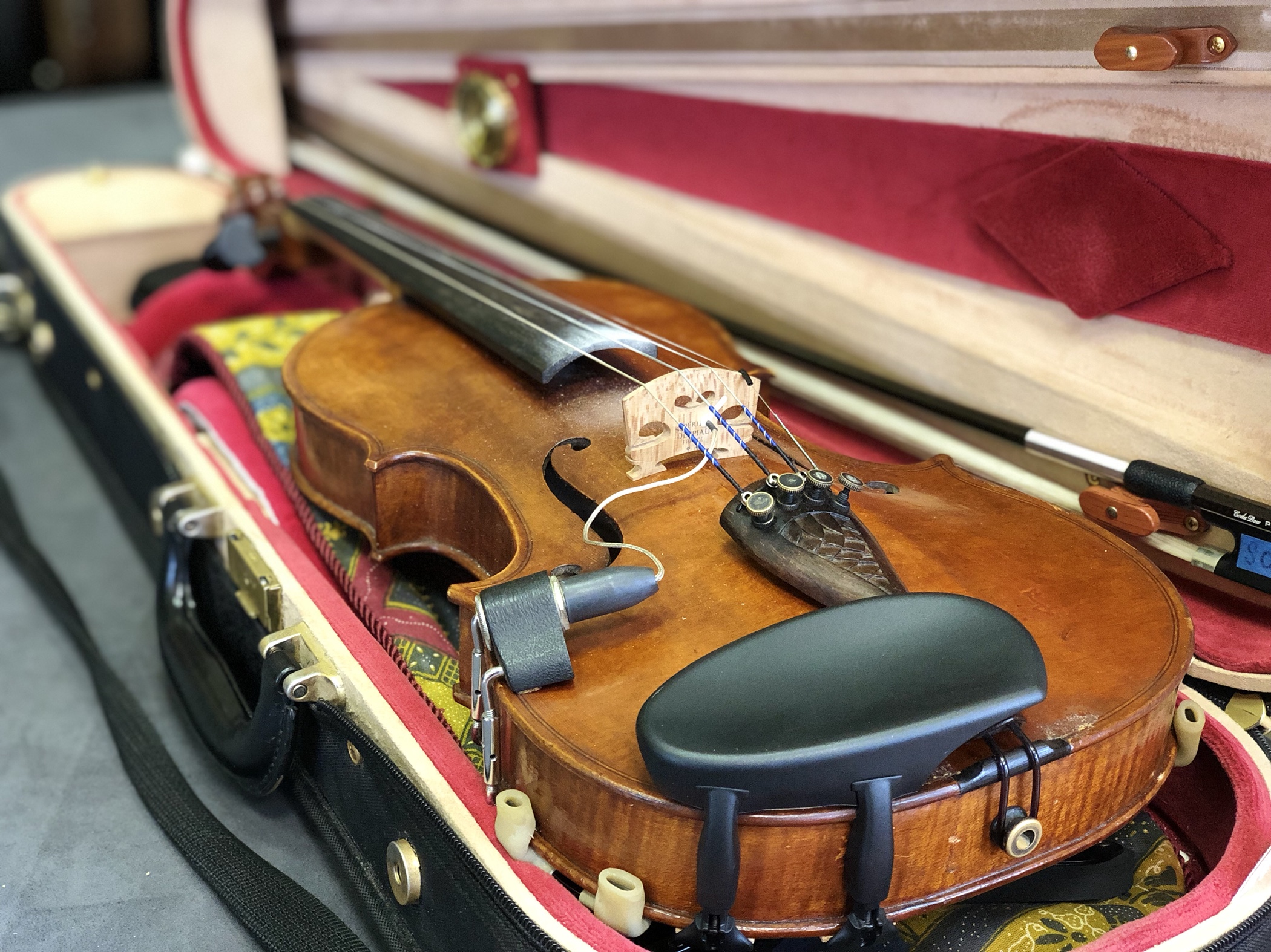 Anya Burgess of SOLA Violins Cox Business Entrepreneur Profile