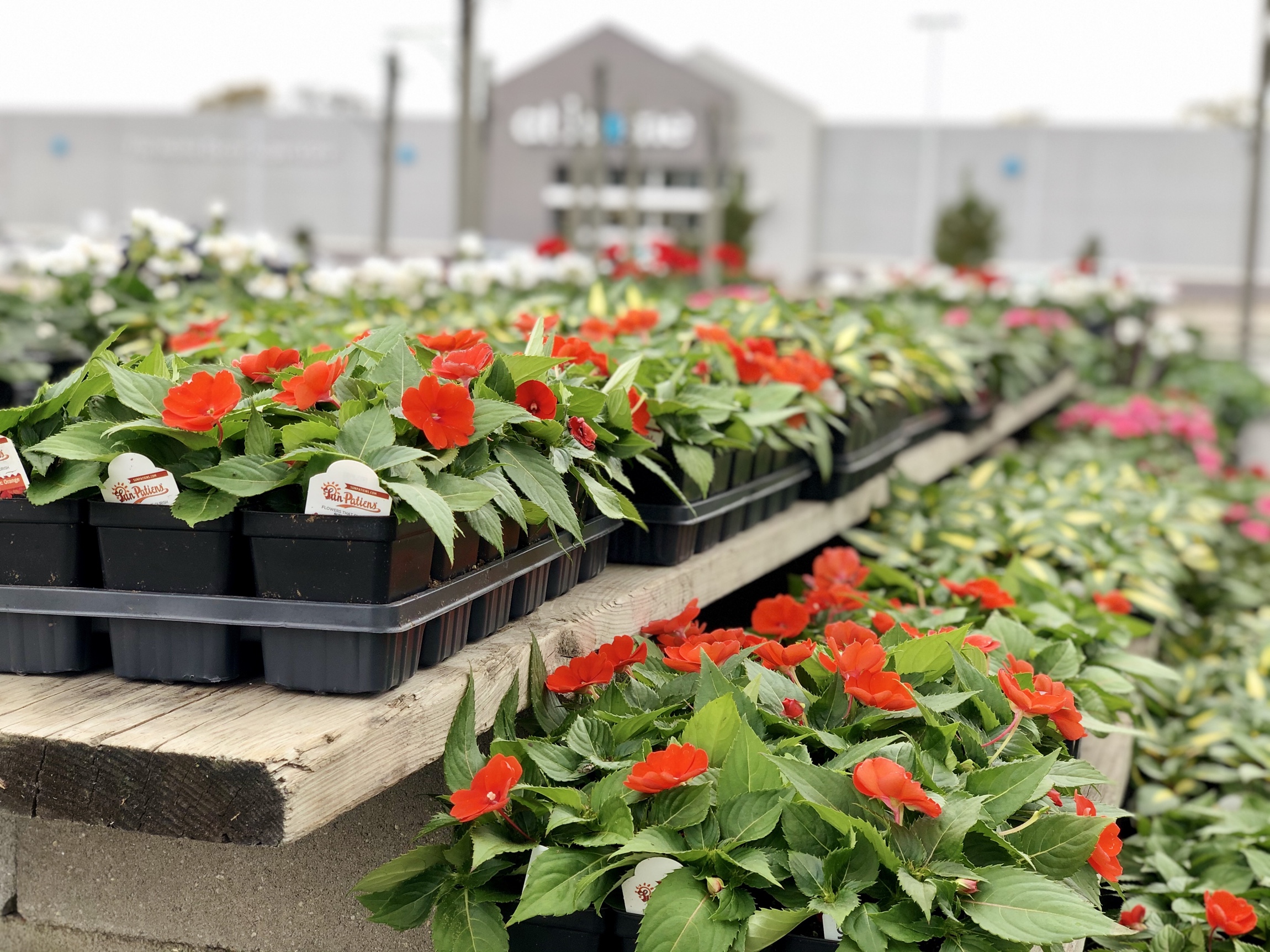 The Flower Bed Relocates To New Property Fronting At Home Retailer On