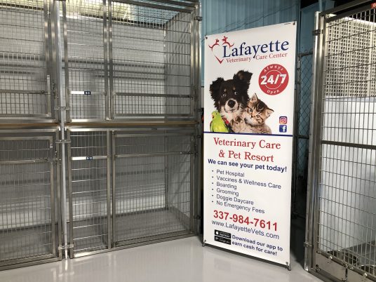 Lafayette Veterinary Care Center Daycare The Playground, A Vet