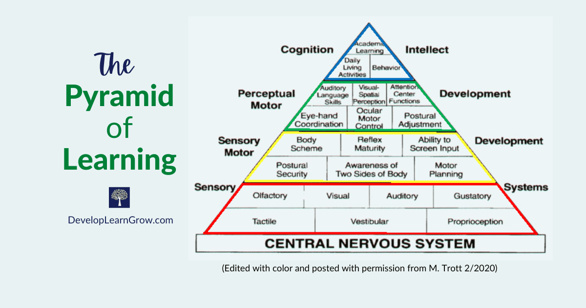 The Sensory Pyramid of Learning Foundation for Development DEVELOP