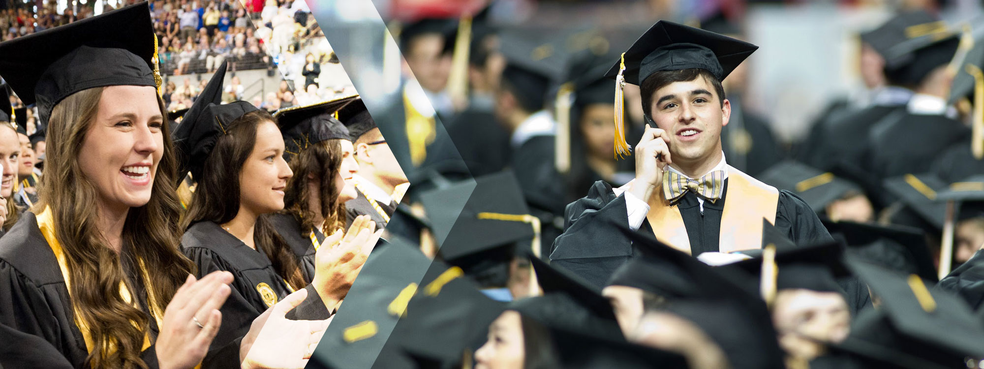 Access and Excellence Office of Development