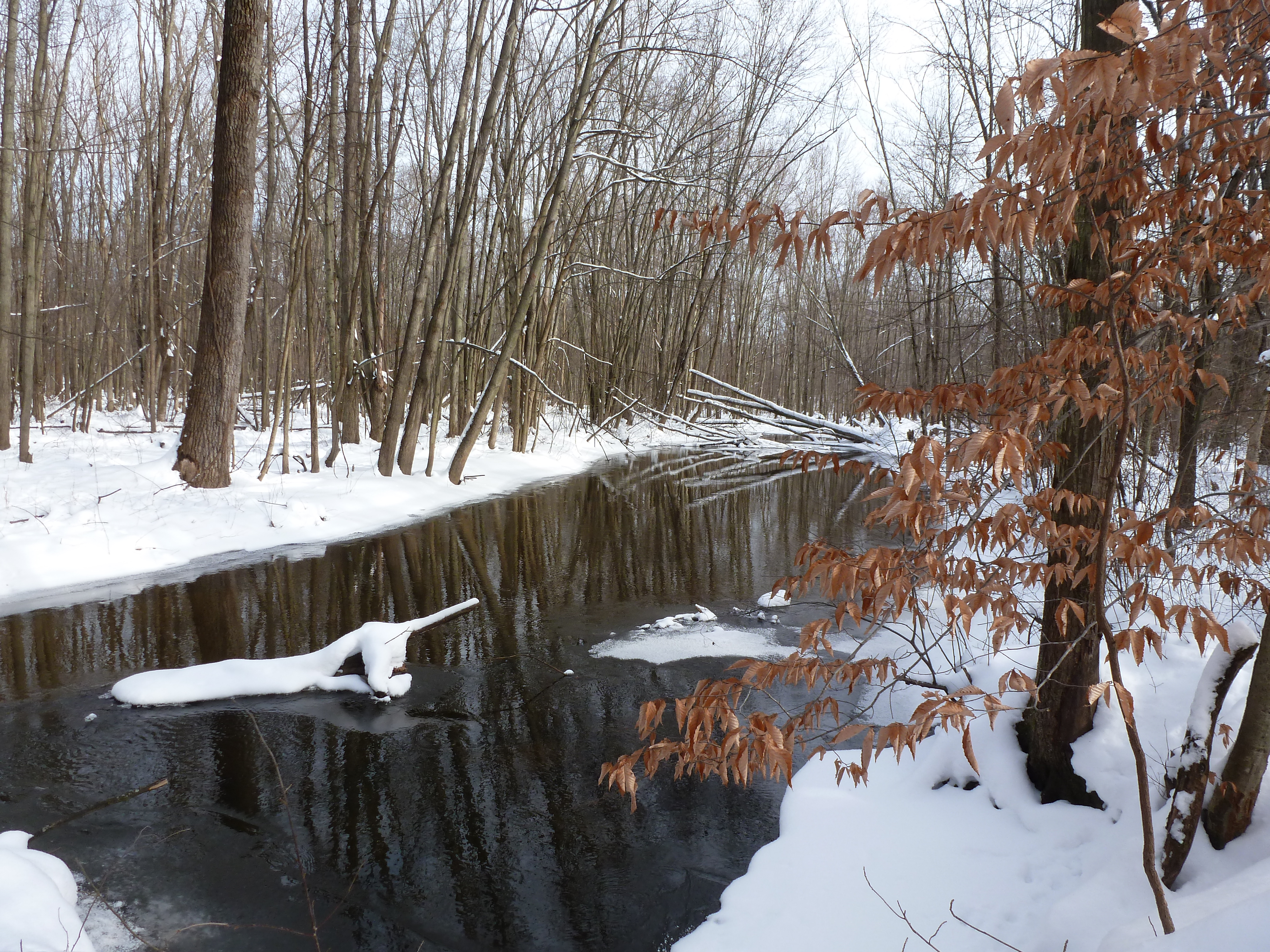 Development for Conservation PAW PAW RIVER