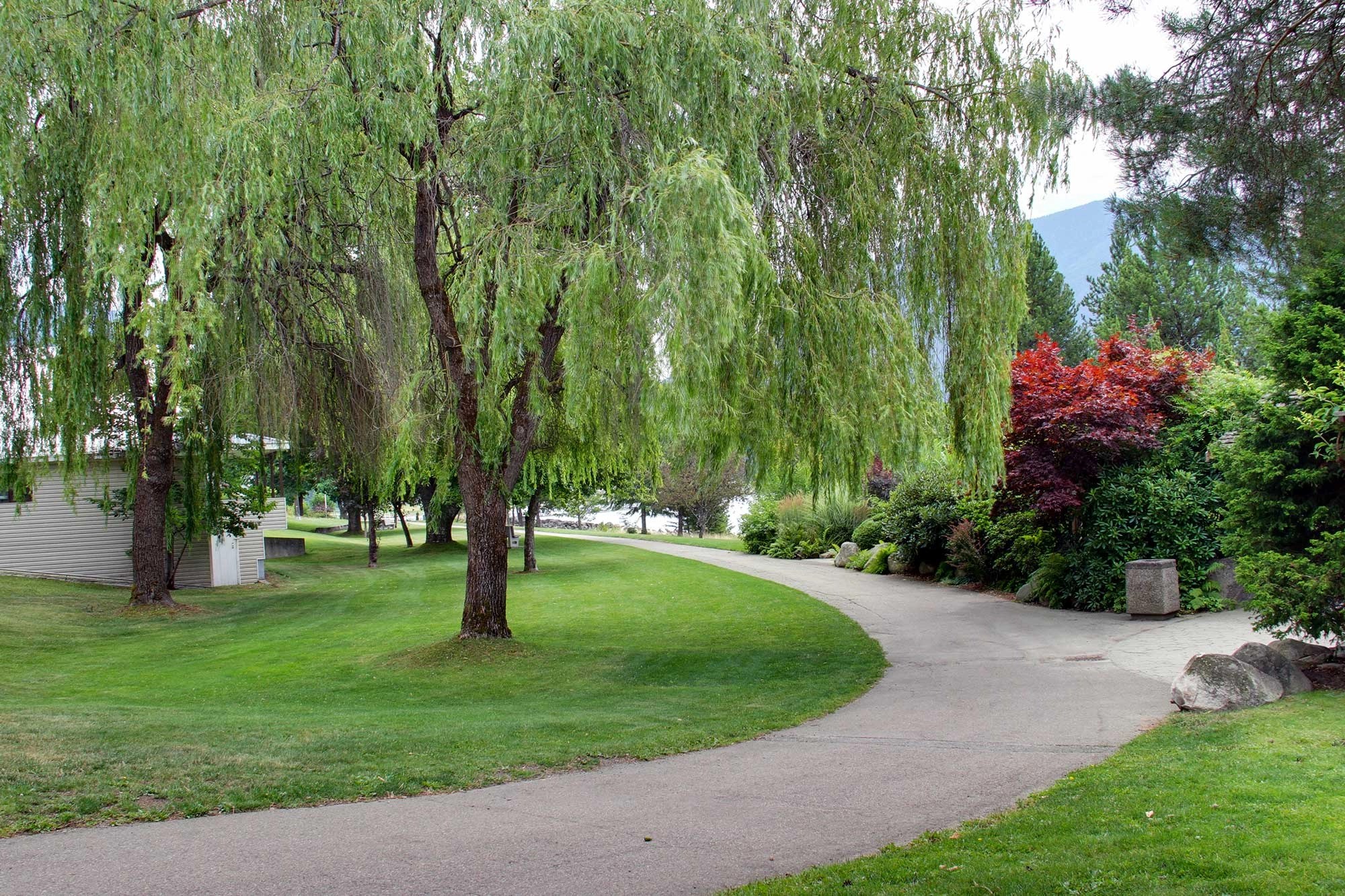 Contact Investment Ready Nakusp