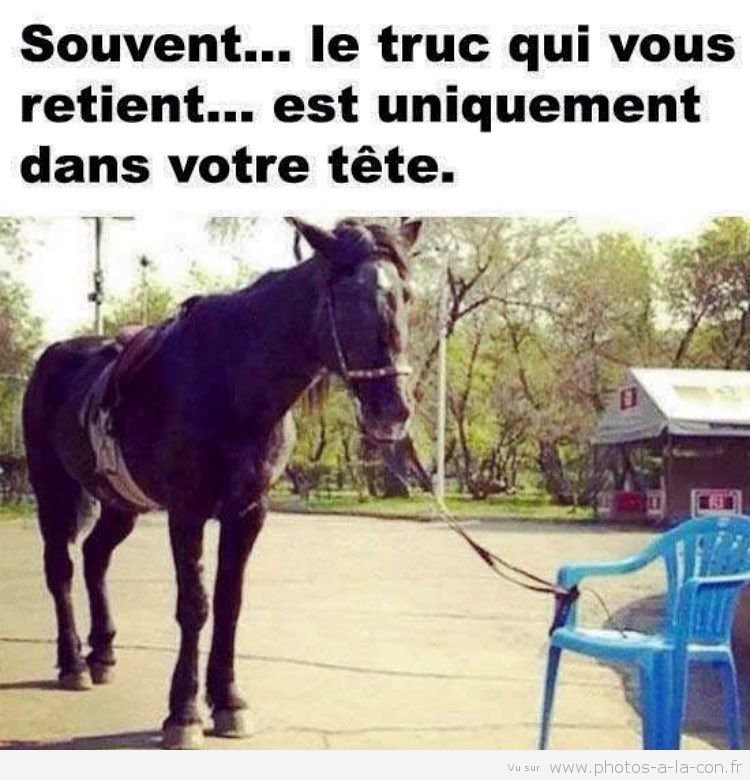Citations Motivantes Et Inspirantes Pour Motiver A Passer A L Action