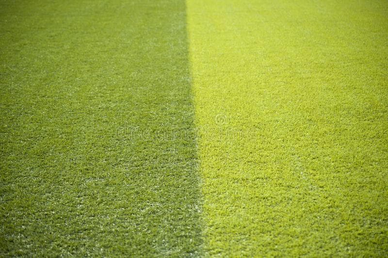 Is it possible to change grass color? Building Support Developer