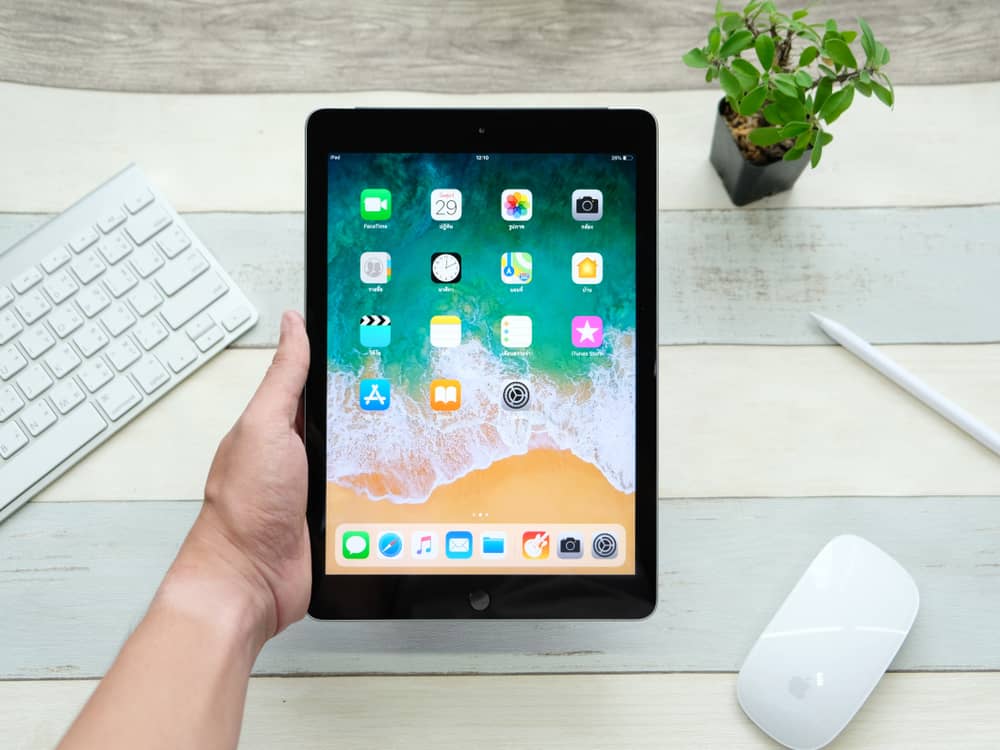 How To Tell if an iPad Has Cellular (Updated 2024) DeviceTests