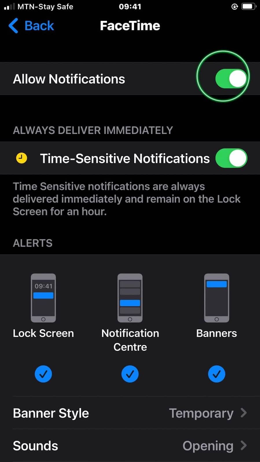 How To Unmute an iPad (StepbyStep Instructions) DeviceTests